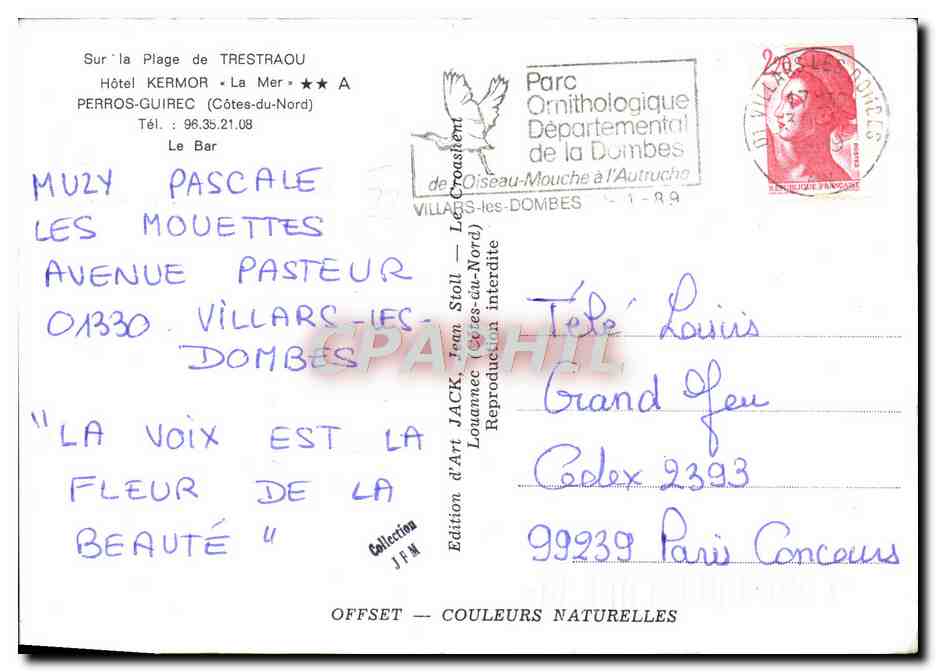 Intérieur d'un bar à vin — éditeur Jach, n°99239 — Verso