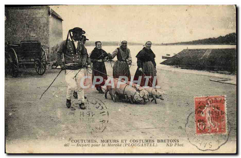 CPA Coutumes Moeurs Et Costumes Bretons Depart Pour Le Marche Cochons Porc