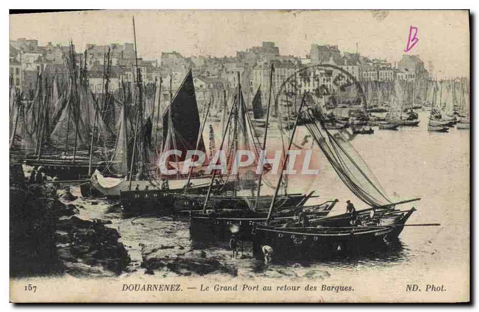 CPA Douarnenez Le Grand Port au retour des Barques Bateaux