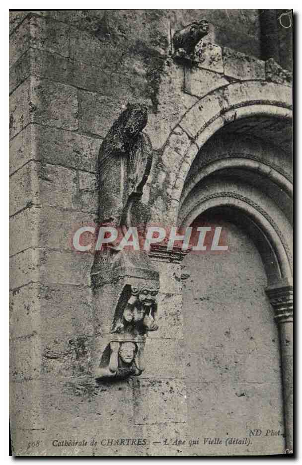 CPA Cathedrale De Chartres L'ane Qui Vielle