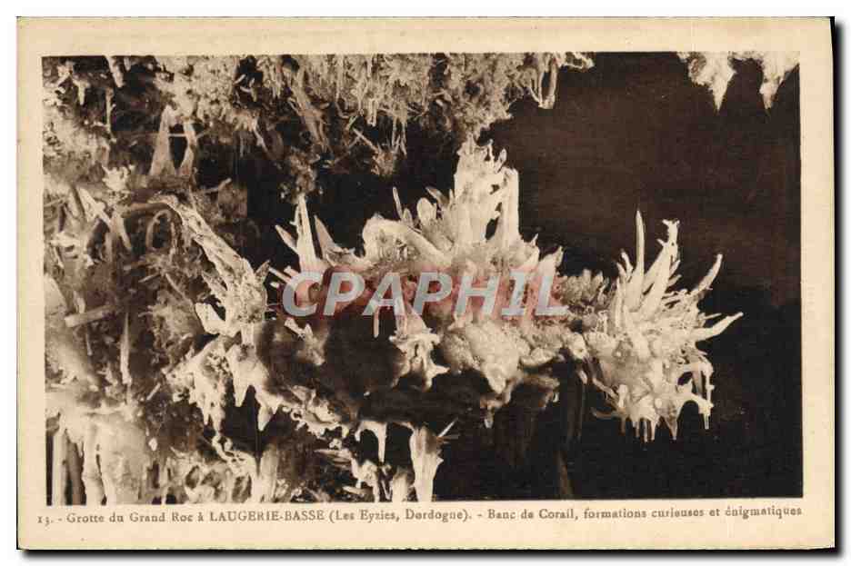 CPA Grotte du Grand Roc Laugerie Basse Banc de Corail 