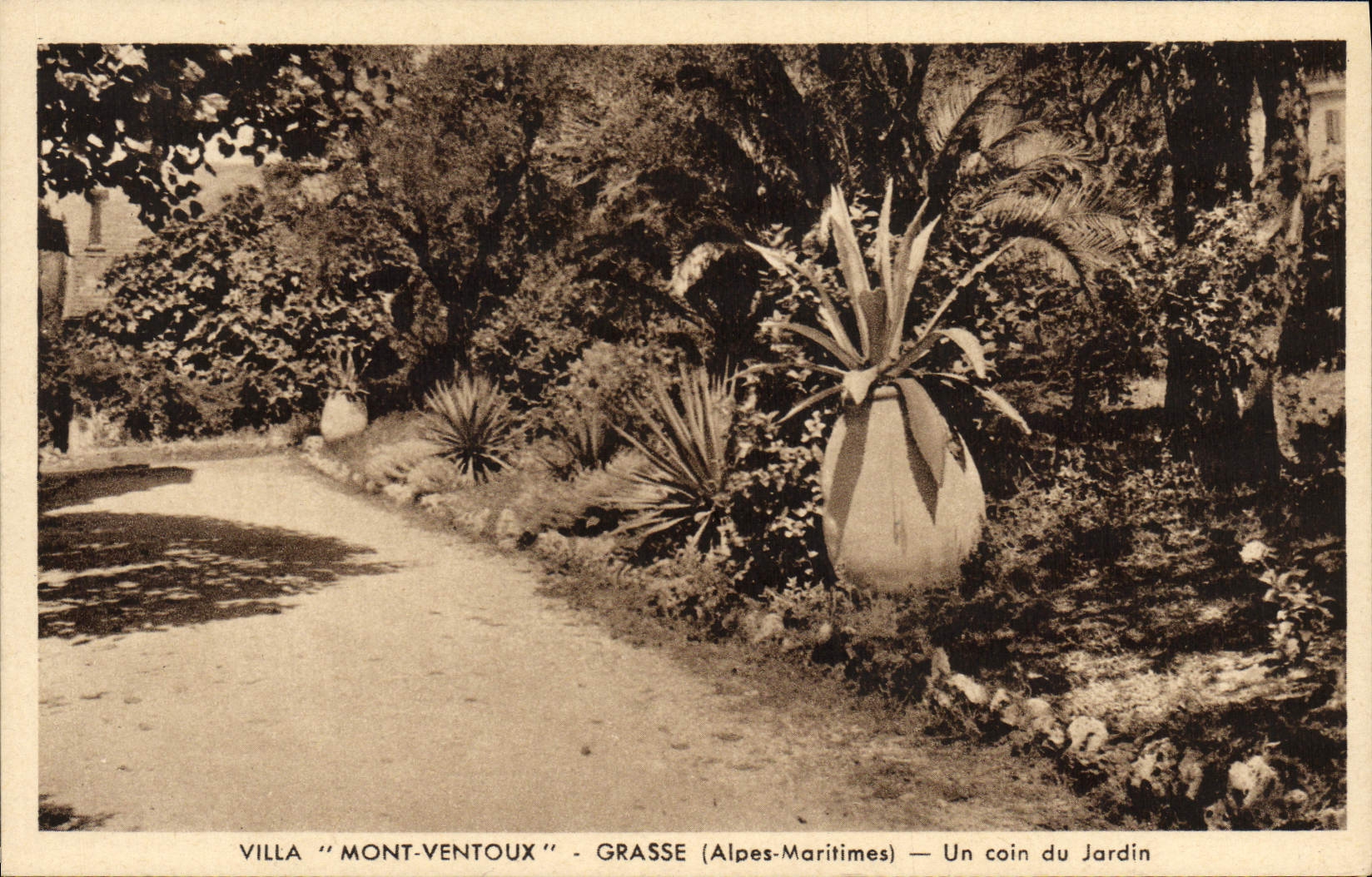 Villa "Mont-Ventoux" - Grasse (Alpes-Maritimes) — Un coin du Jardin