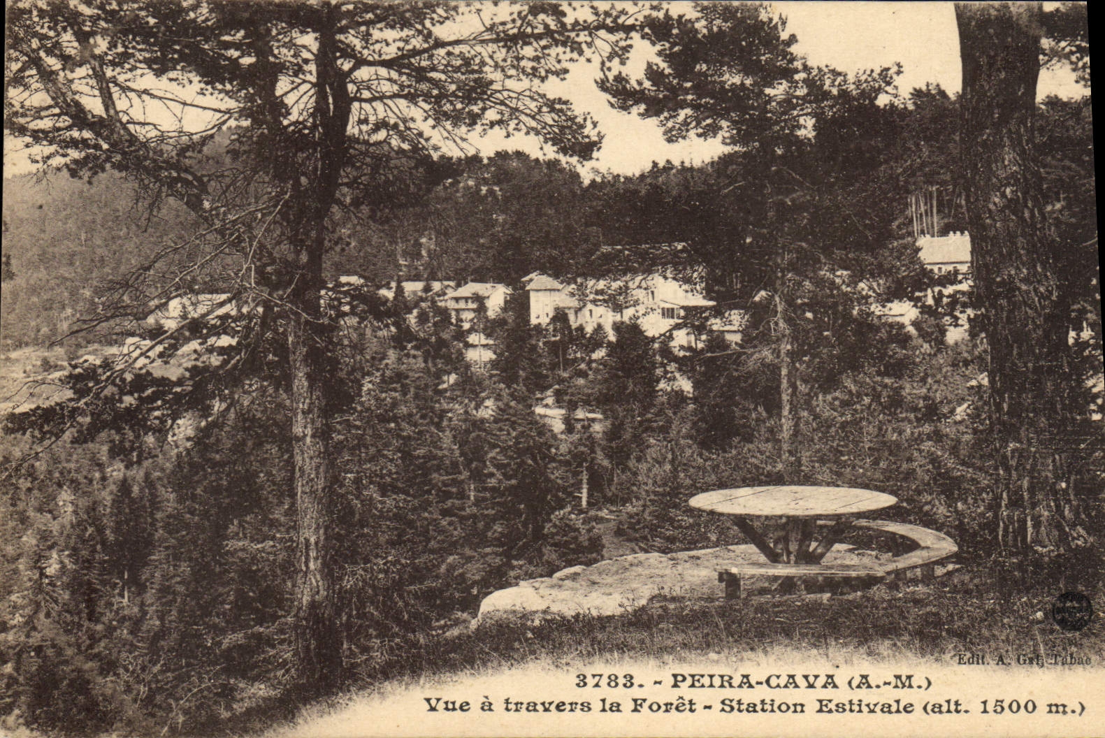 CPA Peira Cava Vue a travers la Foret Station Estivale