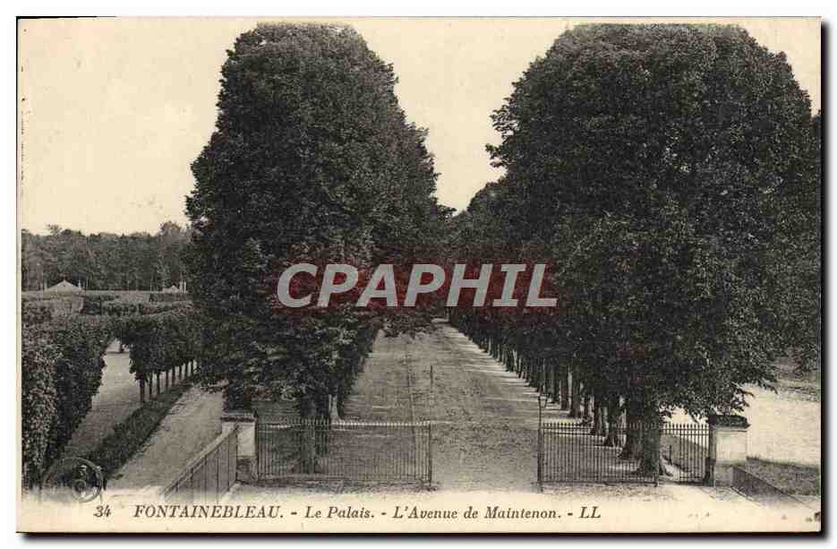 Fontainebleau - El Palacio - La Avenue de Maintenon - LL