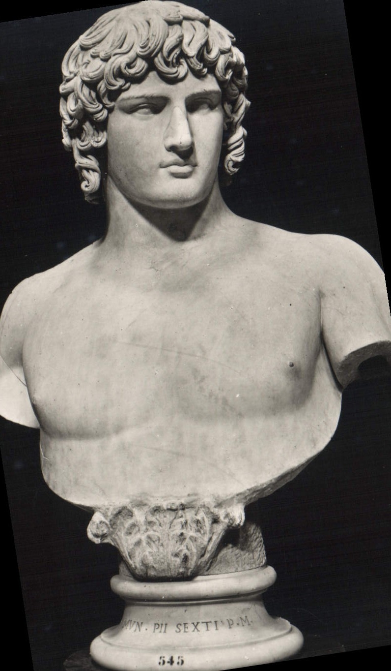 CPA Roma Museo Vaticano Antinoo