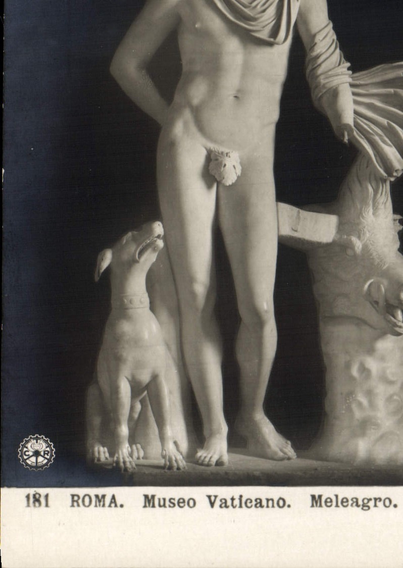 CPA Roma Museo Vaticano Meleagro Chien 