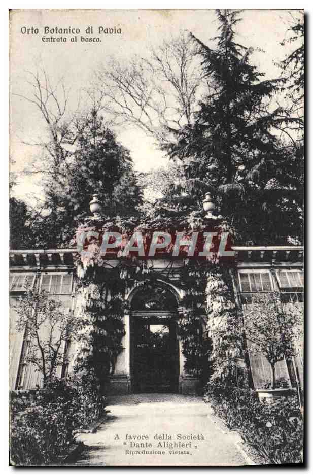 CPA Orto Botanico di Pavia Entrata Al Bosco
