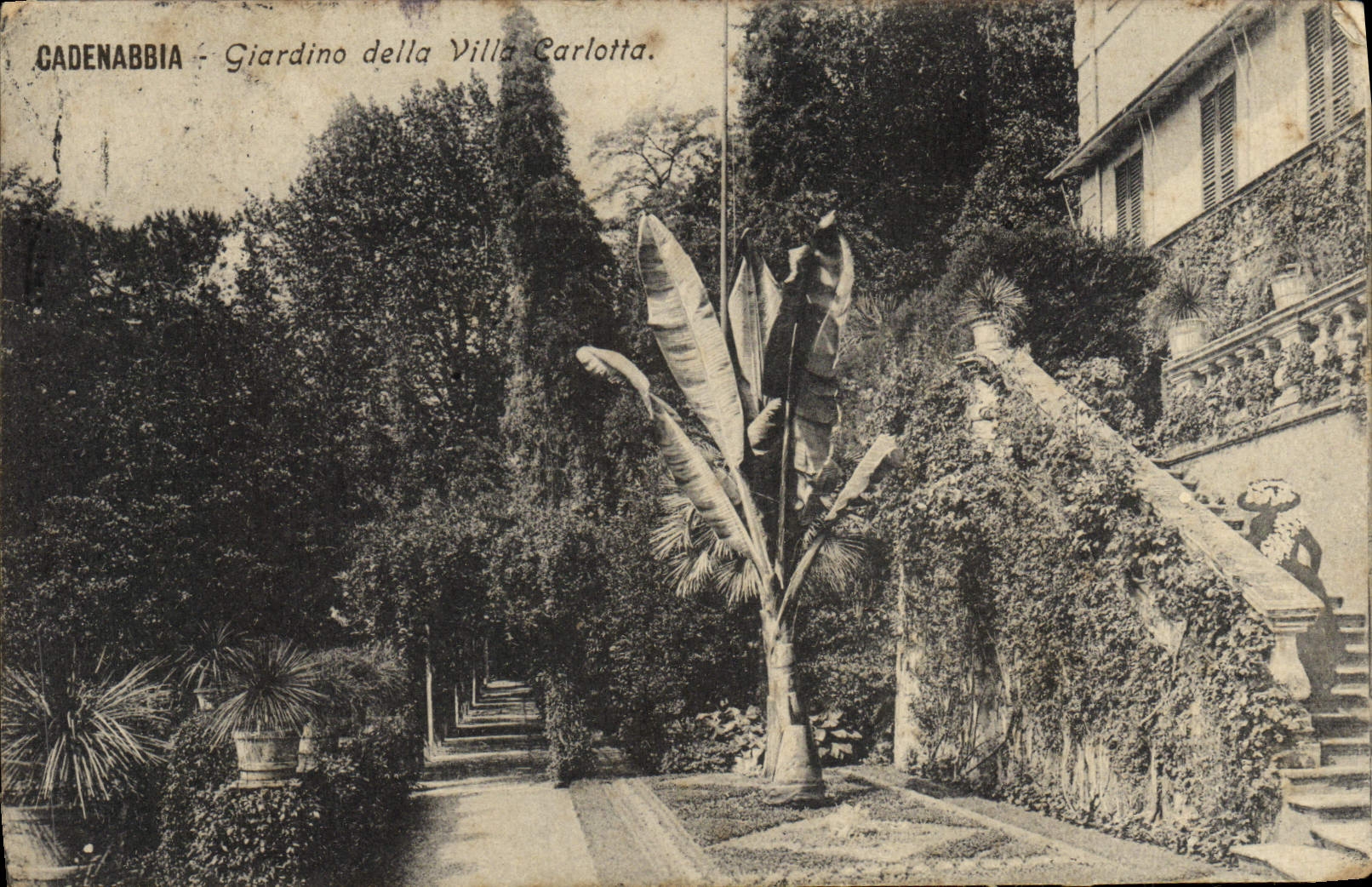 CPA Cadenabbia Giardino Della Villa Carlotta