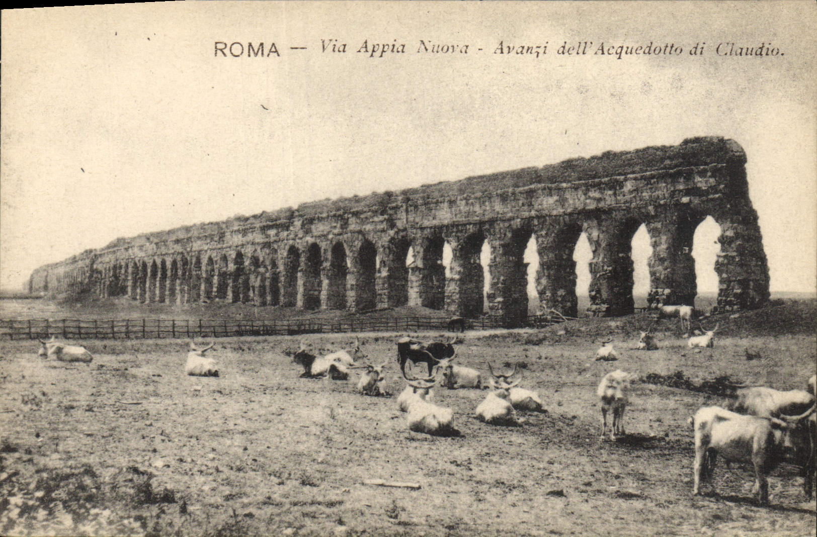CPA Roma Via Appia Nuova Avanzi della Acquedotto di Claudo Boeufs
