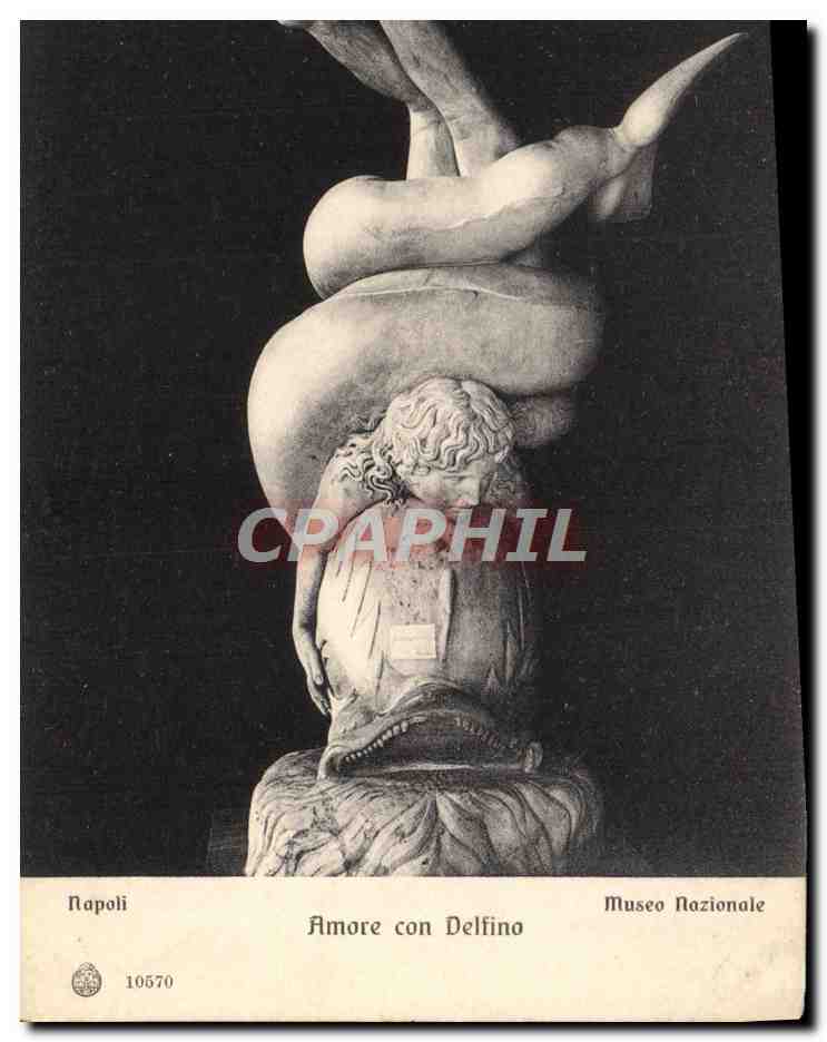 CPA Napoli Museo Nazionale Amore Con Delfino