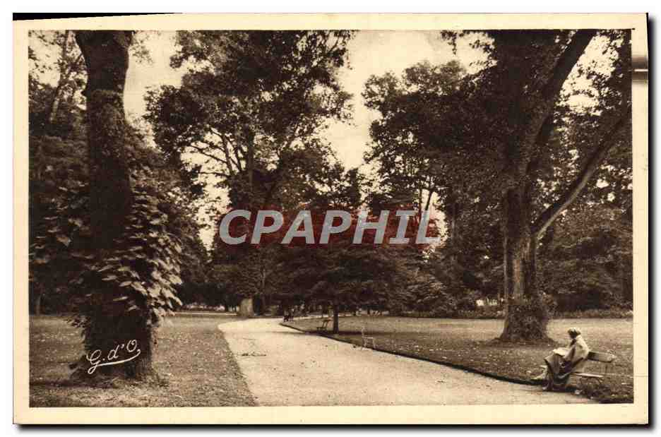 CPA Vichy Allee Dans Les Grands Parcs