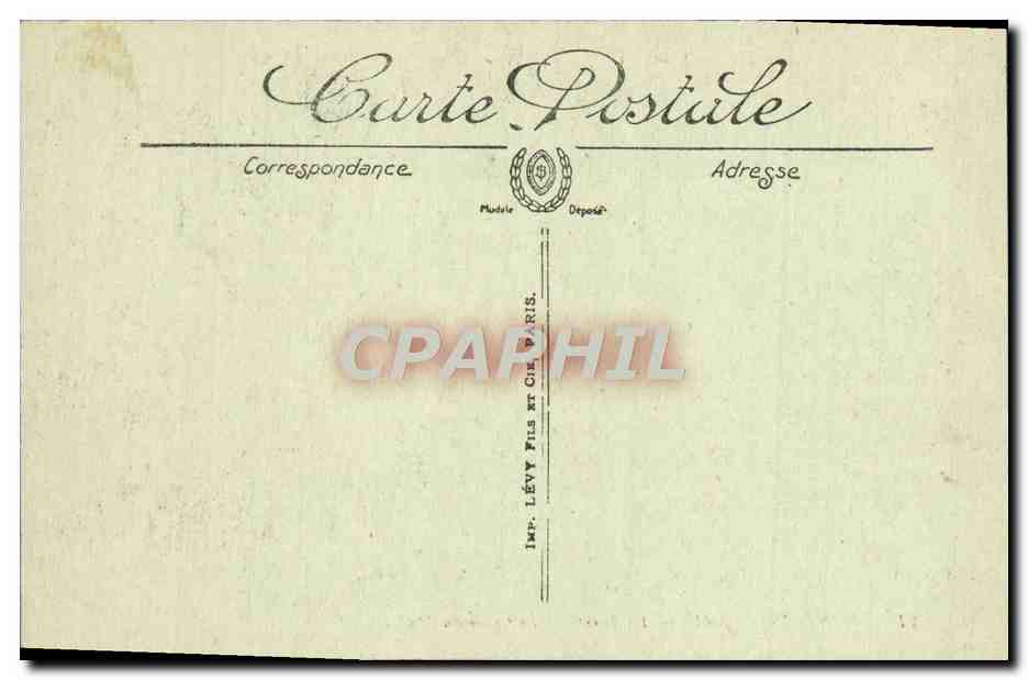 Fontainebleau — La Forêt — Il Cedro del Mail — LL. — n° 213 — Verso