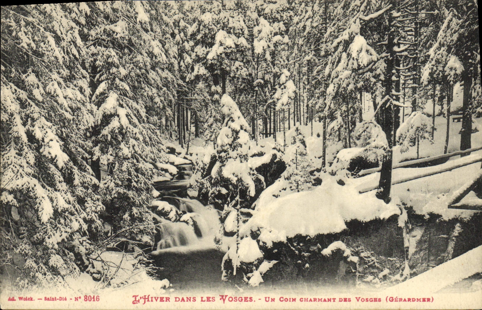 L'Hiver dans les Vosges — Un coin charmant des Vosges (Gérardmer) — Wolek - Saint-Dié N° 8016