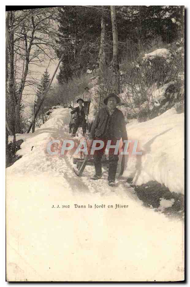 CPA Dans la Foret en Hiver Les Schluteurs