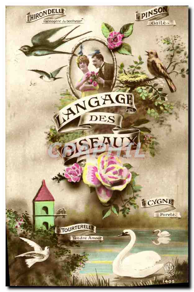 Langage des oiseaux — Édition illustrée avec oiseaux et légendes — n°1405