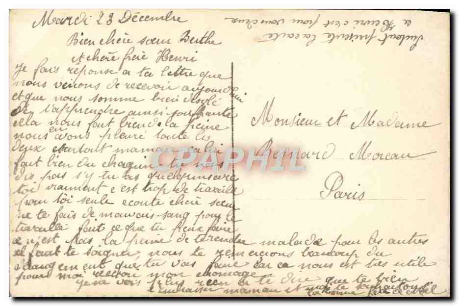 Langage des oiseaux — Édition illustrée avec oiseaux et légendes — n°1405 — Reverso