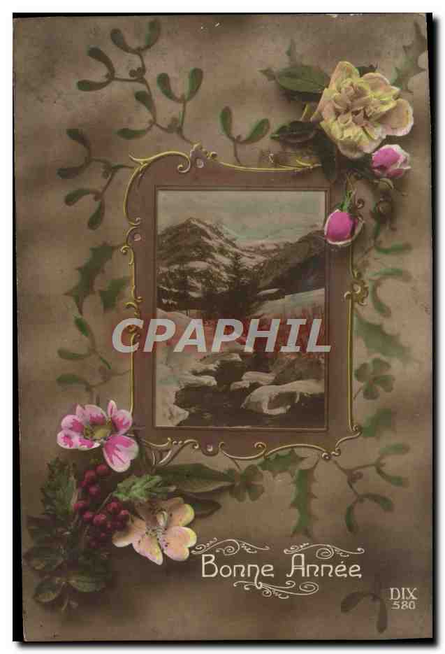 CPA Fantaisie Fleurs Bonne Annee