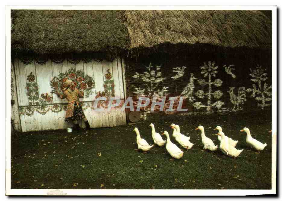 CPM Bruno Barbey Magnum Arles 83 Pologne 