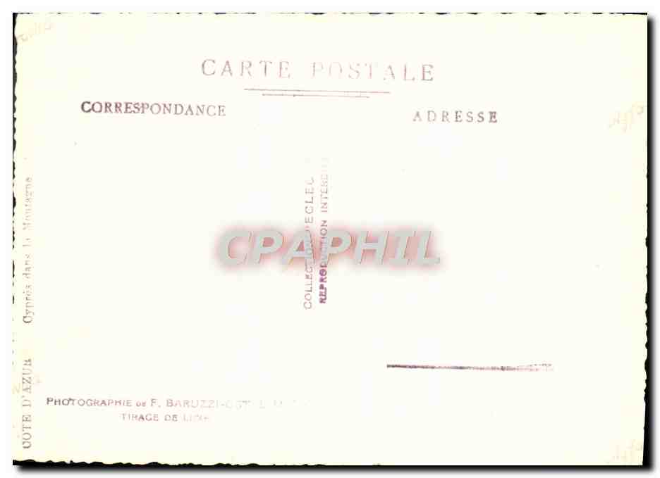 CPM Cypres dans la montagne Cote d'azur — Rückseite