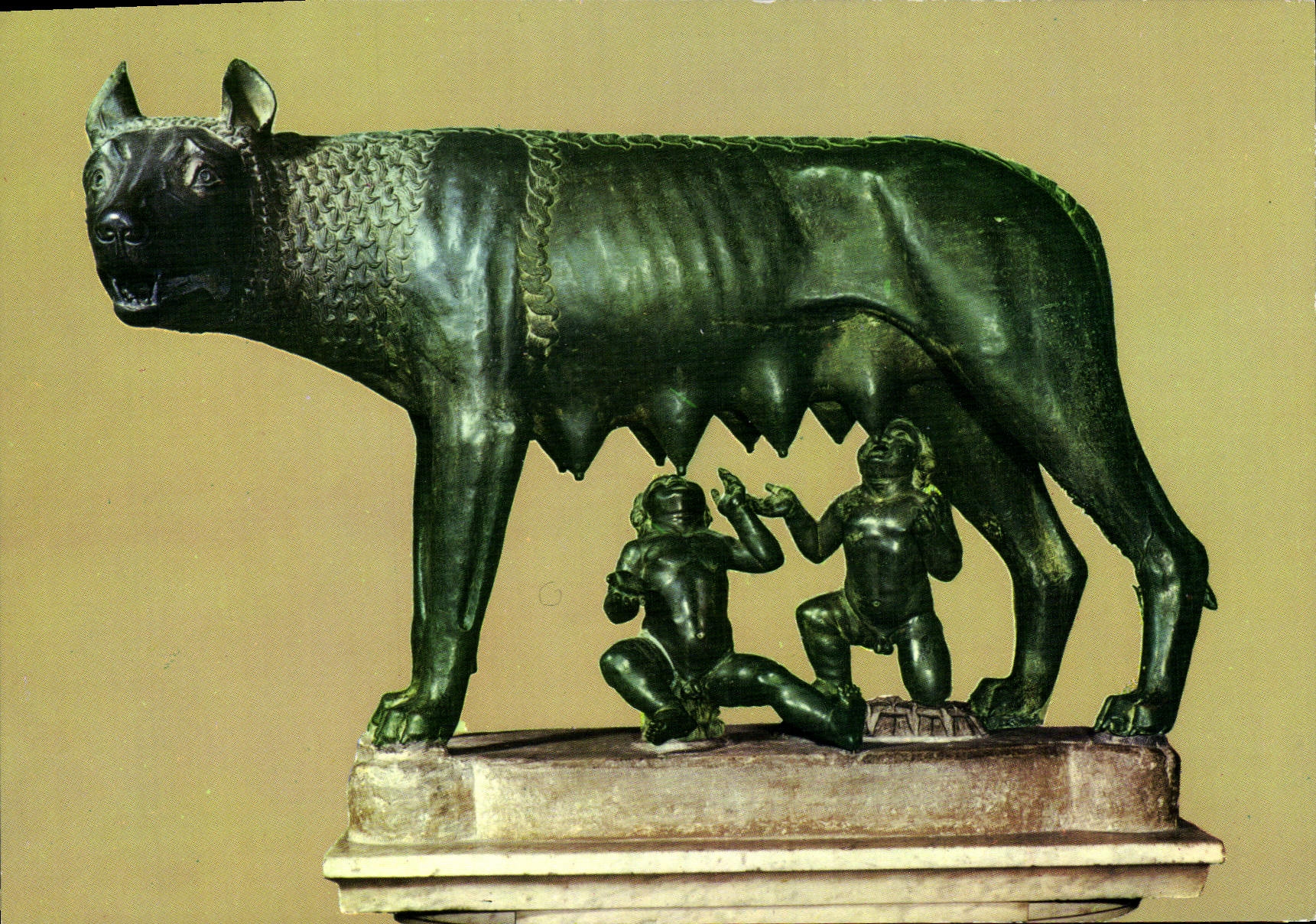 CPM Roma Musei Capitotini la lupa Loup Louve