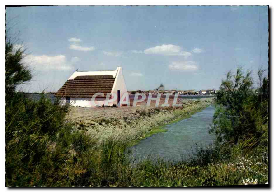 CPm Camargue Avec Les Gardians Pres des Marais une cabane toute blanchee