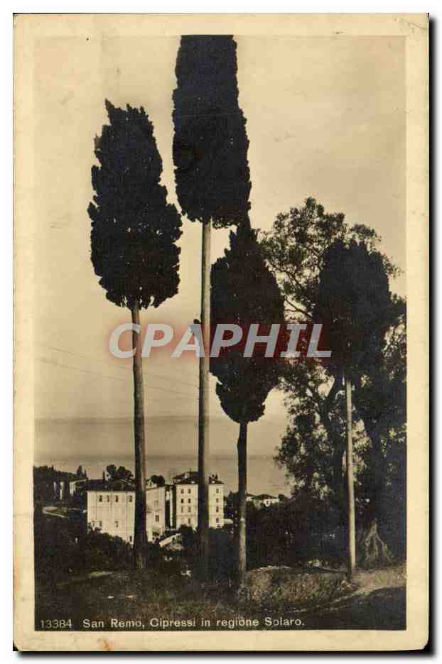 CPA San Remo Cipressi in Regione Solaro