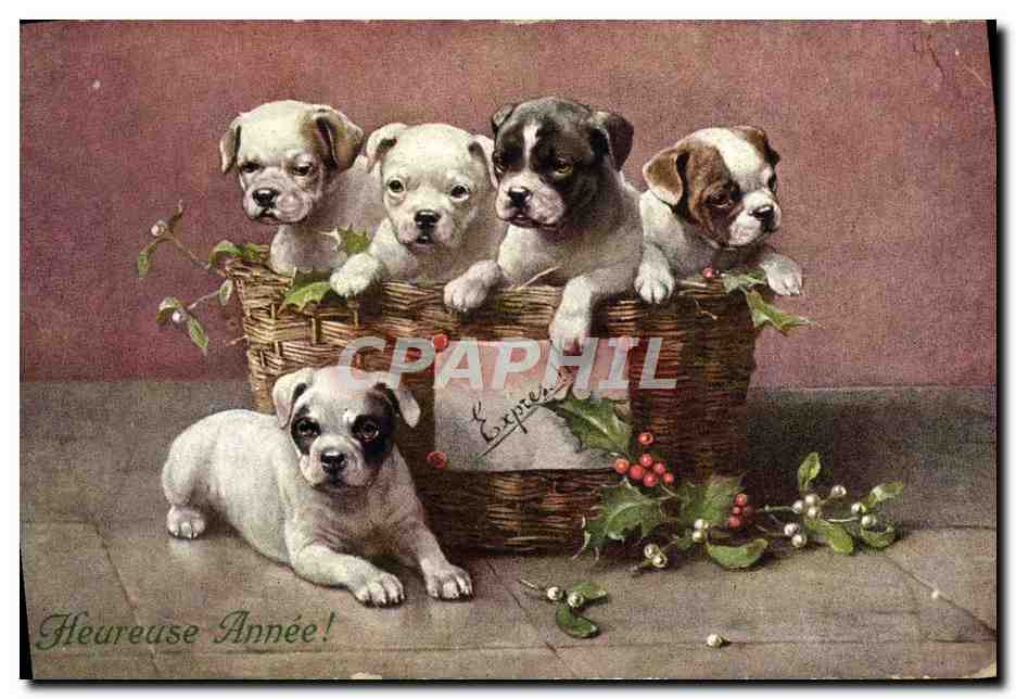 Puppies dans un panier — Heureuse Année ! — Éditeur E. Coppée, n° 343