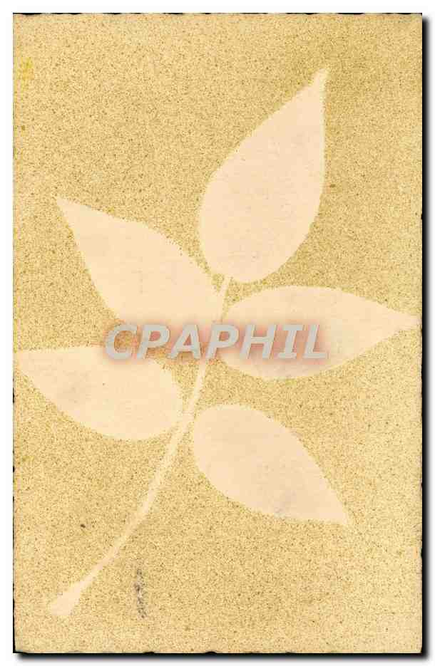 CPA Fantaisie Fleurs