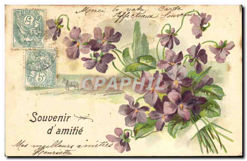 Violettes — Souvenir d'amitié — Éditeur non identifié