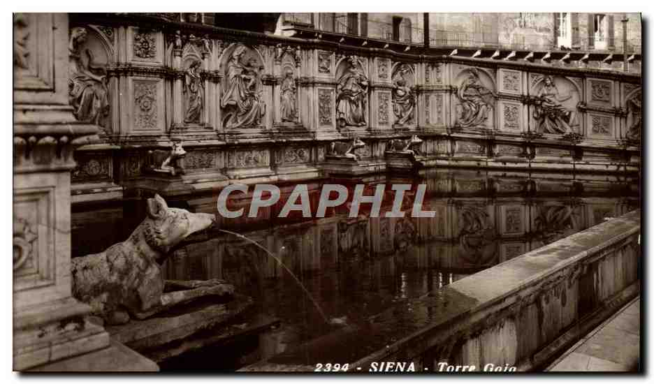 CPA Siena Torre Gaia Chien Loup