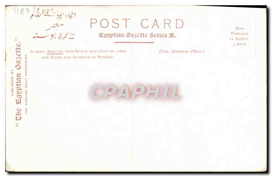 Une beauté du désert — Égypte — Édition de 'The Egyptian Gazette' — Back