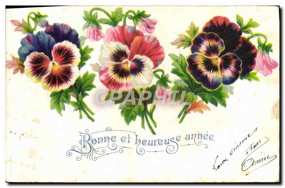 CPA Bonne Et Heureuse Annee Fleurs