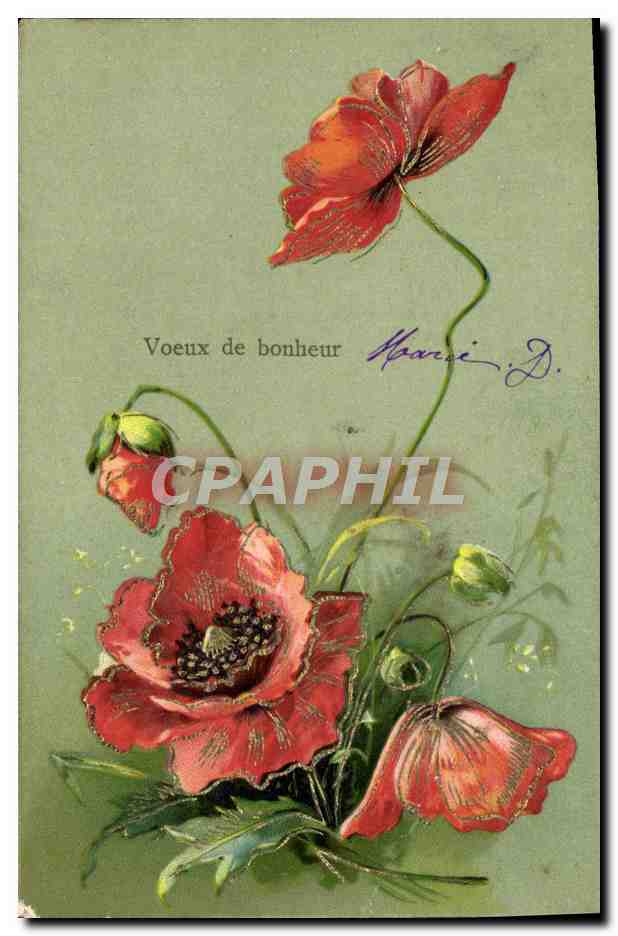 CPA Voeux De bonheur Fleurs