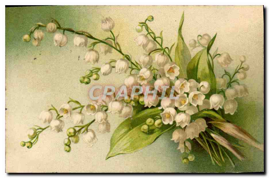 CPA Fantaisie Fleurs Muguet