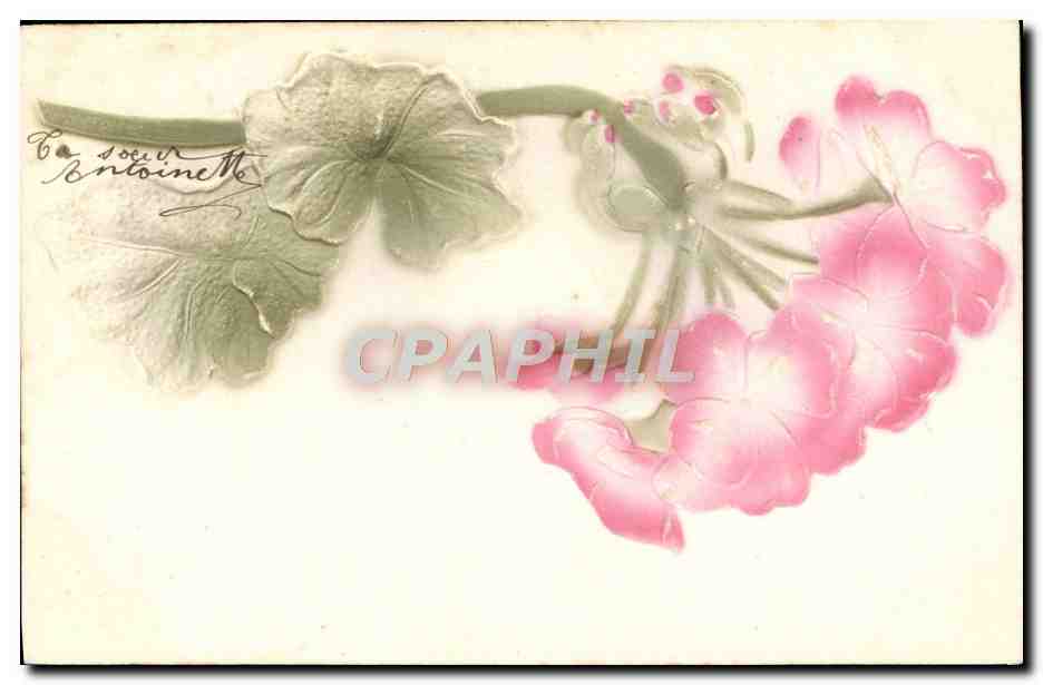 Fleurs roses et feuilles — carte postale décorative — éditeur non identifié