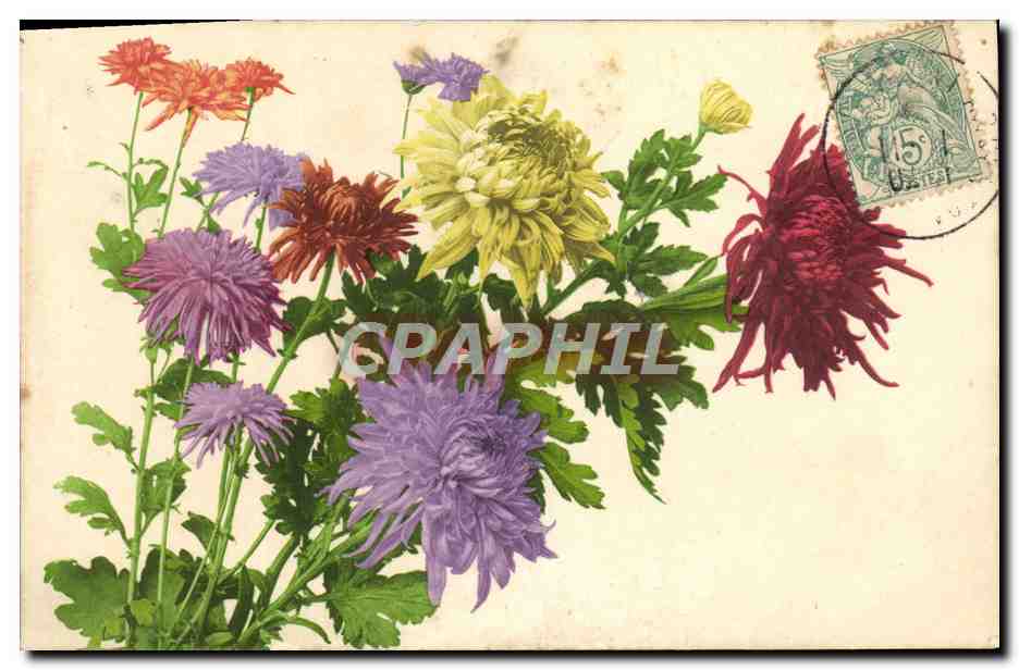 CPA Fantaisie Fleurs 