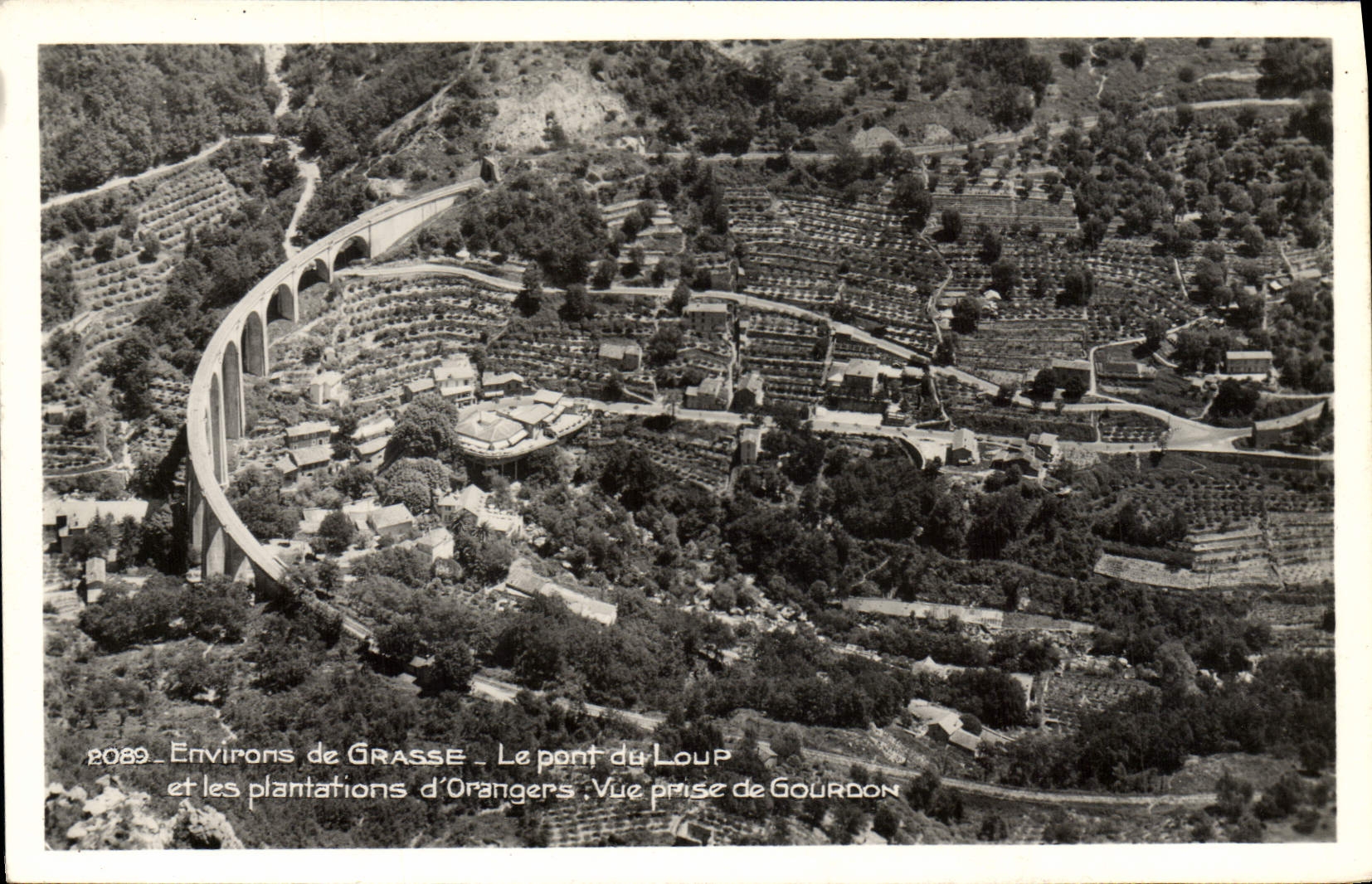 CPA Environs De Grasse LE Pont Du Loup Et Les Plantations d'Orangers Vue Prise De Gourdon