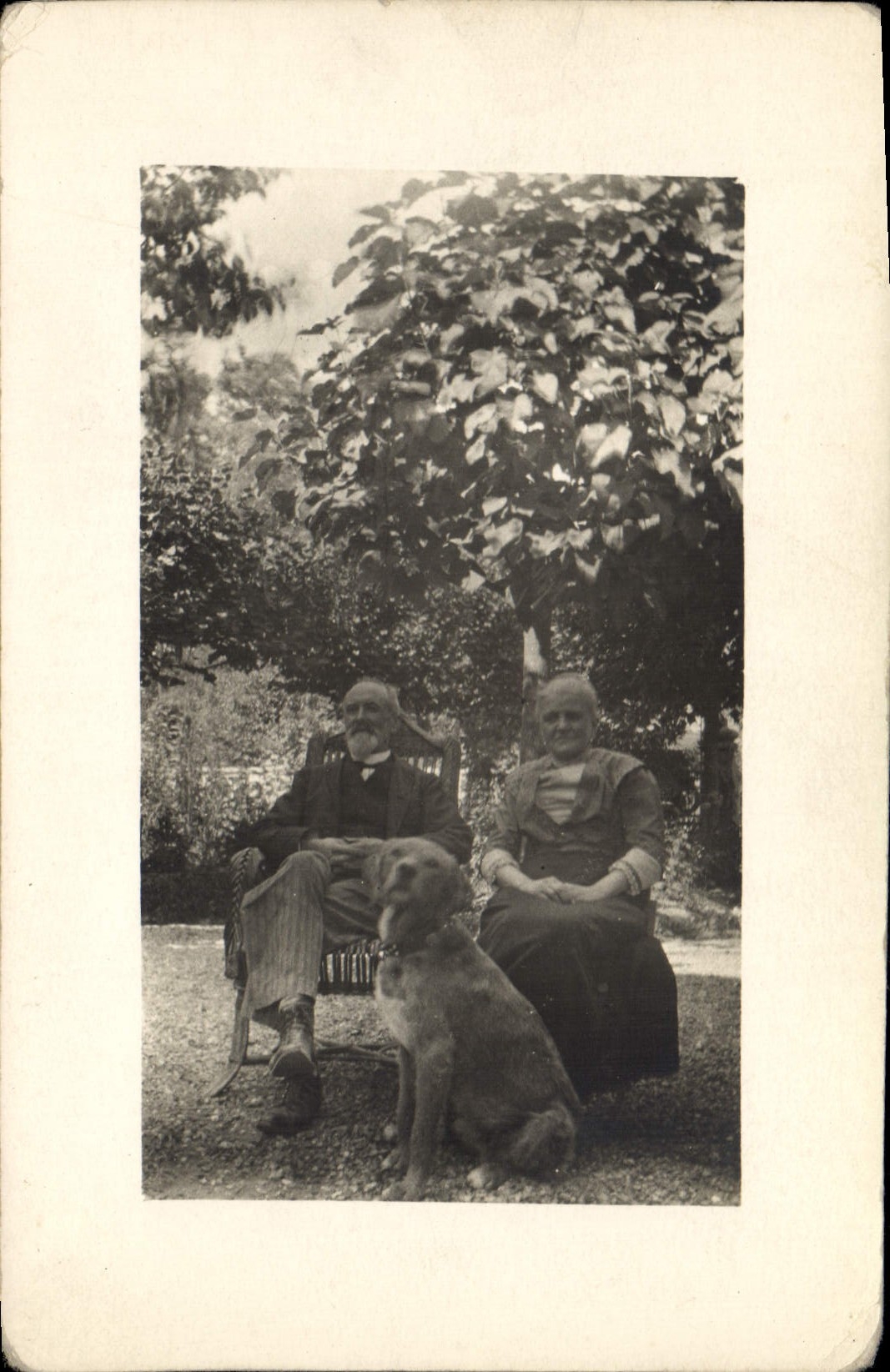 Un couple âgé et leur chien dans un jardin — éditeur CPAPHIL, n° de série non visible