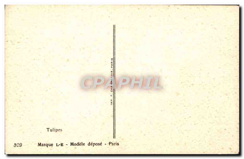 Tulipes — bouquet coloré — édition F. Châtain-Nois, Paris, n° 309 — Rückseite
