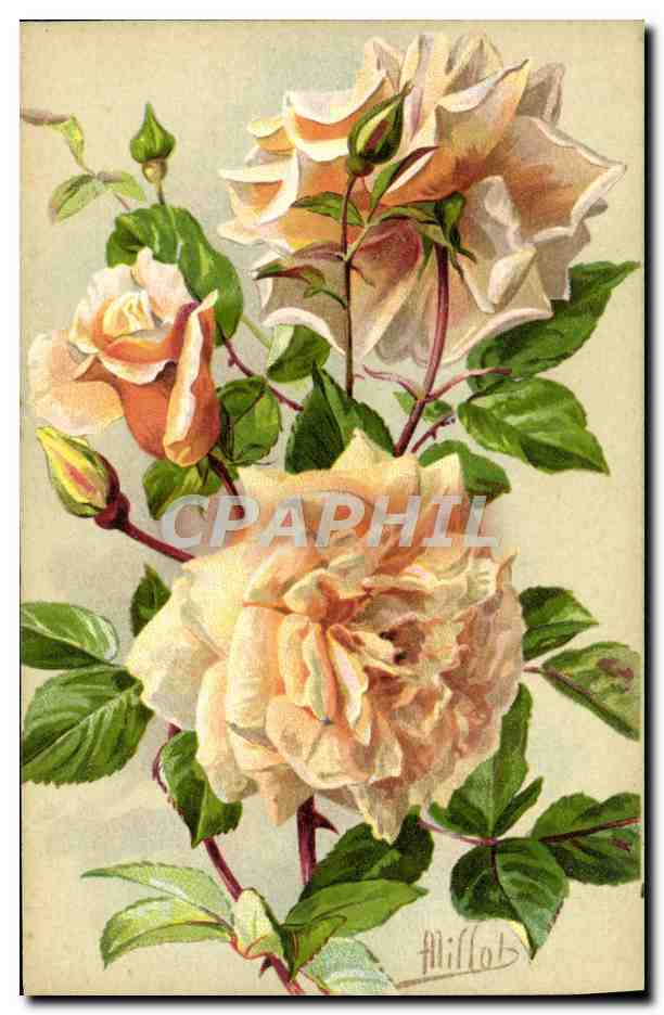 CPA Fantaisie Fleurs