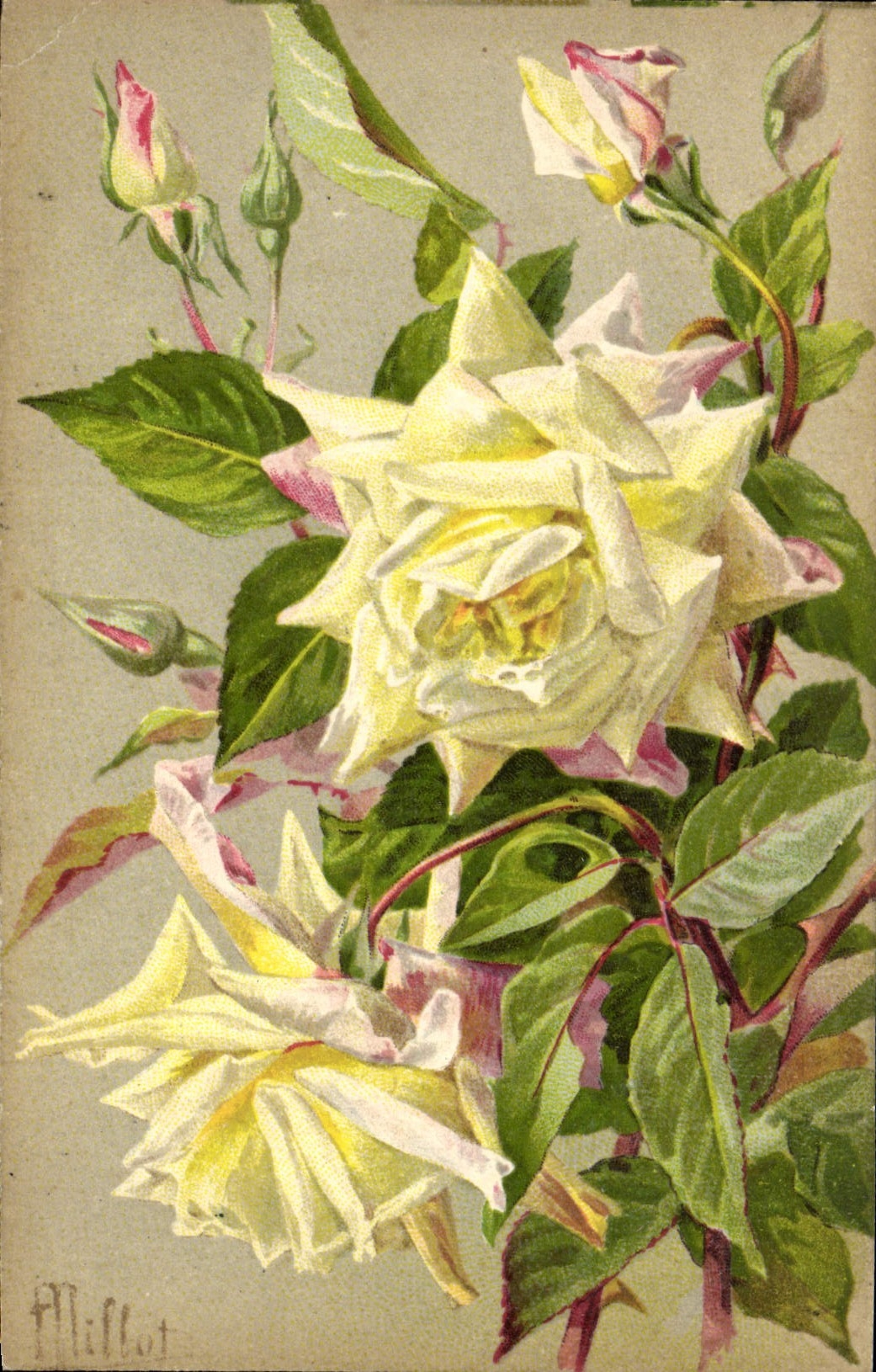 CPA Fantaisie Fleurs Rose Marie Van Houtte