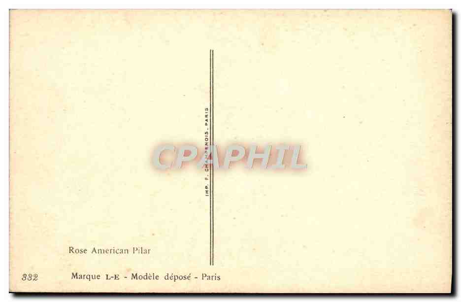 CPA Fantaisie Fleurs Rose American Pilar — Rückseite
