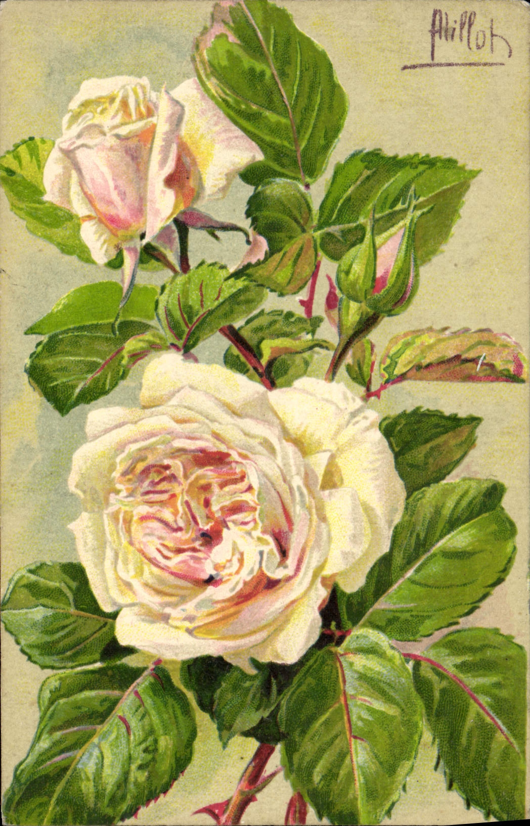 CPA Fantaisie Fleurs Rose Gloire De Dijon
