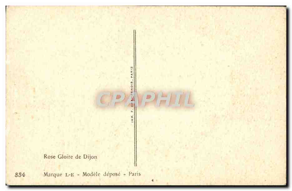 CPA Fantaisie Fleurs Rose Gloire De Dijon — Verso