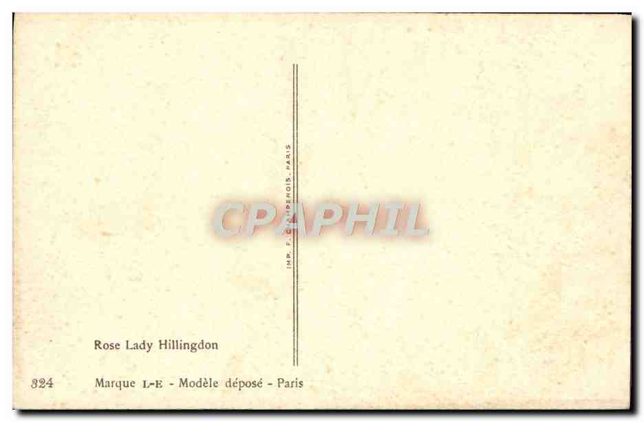 CPA Fantaisie Fleurs Rose Lady Hillingdon — Rückseite
