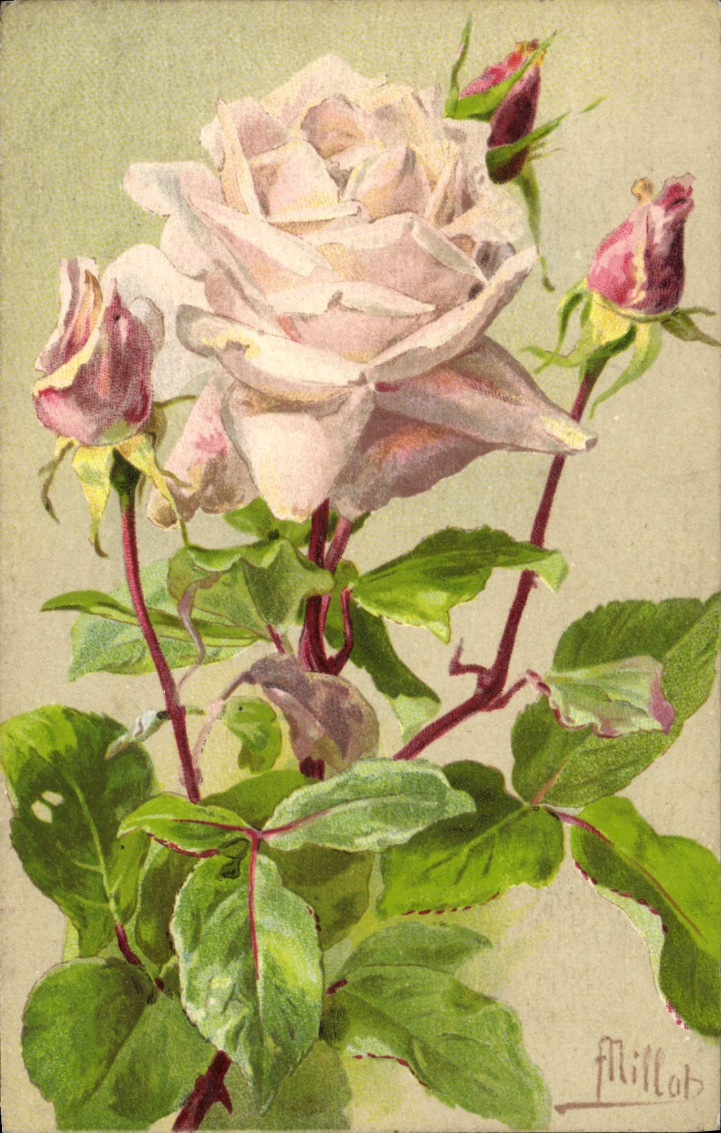 CPA Fantaisie Fleurs Rose Mistress Alford