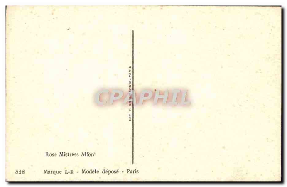 CPA Fantaisie Fleurs Rose Mistress Alford — Rückseite