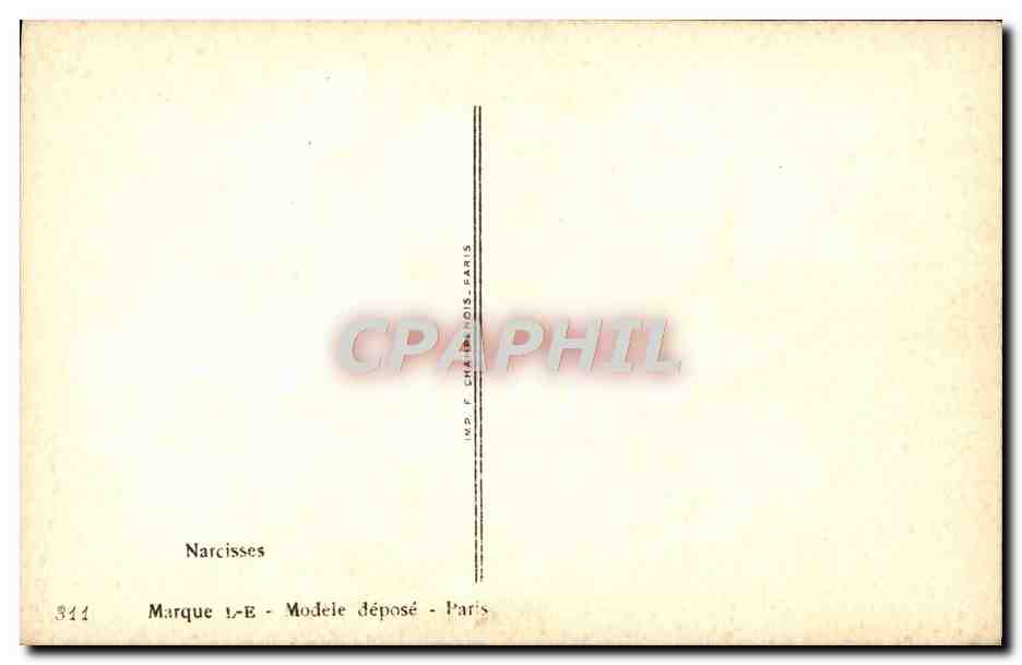 CPA Fantaisie Fleurs Narcisses — Rückseite