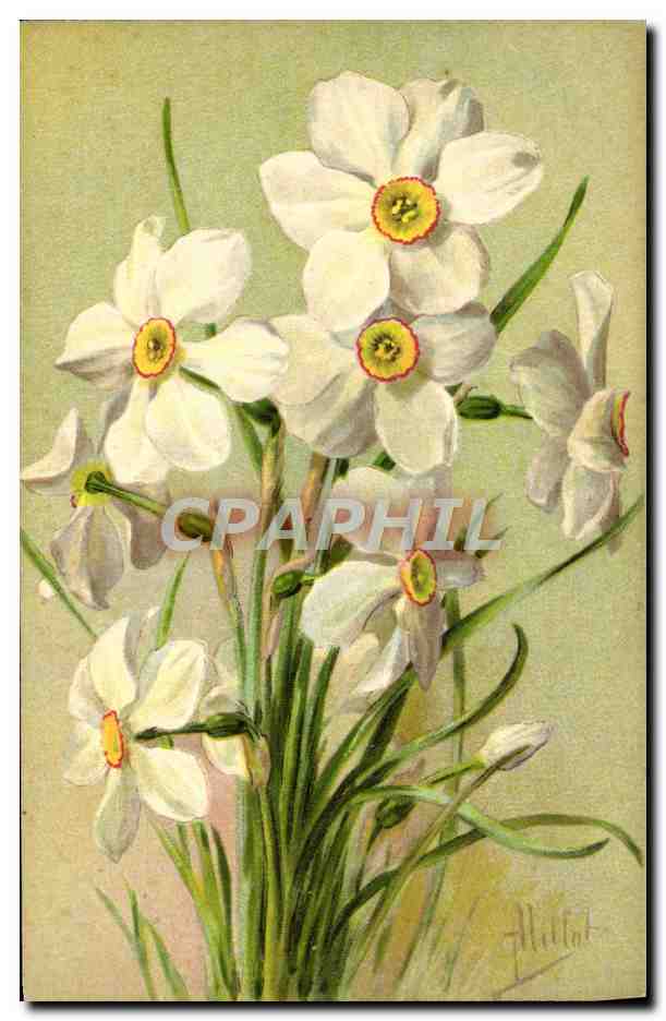 CPA Fantaisie Fleurs Narcisses Des Poetes