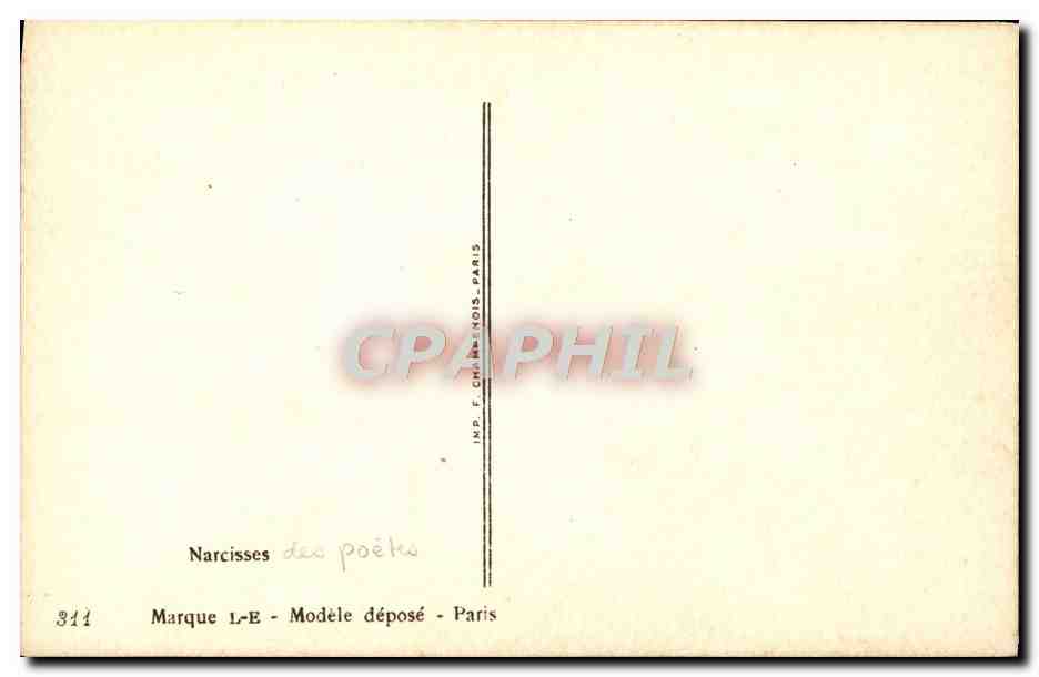 CPA Fantaisie Fleurs Narcisses Des Poetes — Rückseite